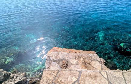 Paradies Apartments Prizba - Foto 29