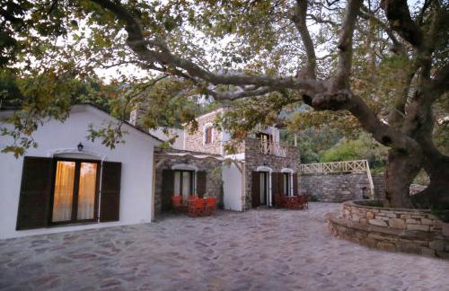 Ικαριων Γη - Photo 25