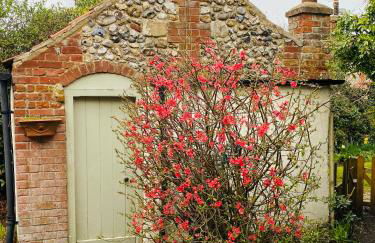 The Hill, Great Walsingham - Foto 18