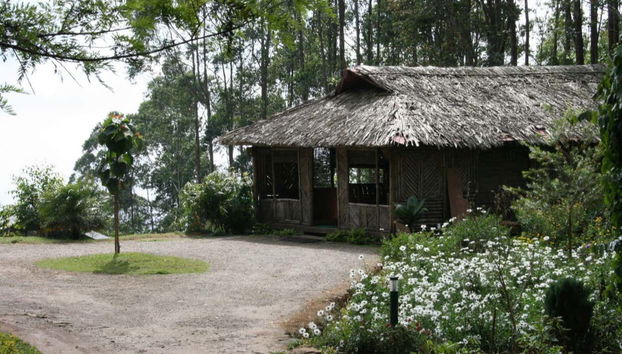 Le case tradizionali del bosco di Munnar