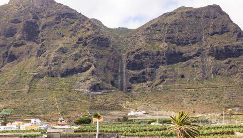 Live Monteverde 1 - Photo 3