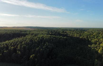 Zakole Brdy - Foto 56