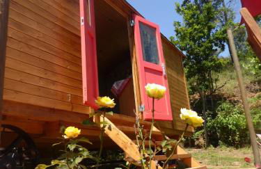 Rosa the Cosy Cabin - Gypsy Wagon - Shepherds Hut, RIVER VIEWS Off-grid eco living - Foto 34