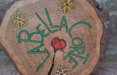 La bella corte - Foto 65