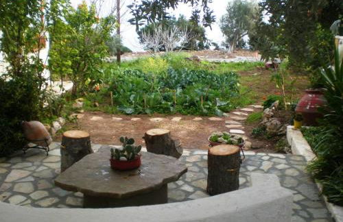 Tiki Rooms - Foto 20