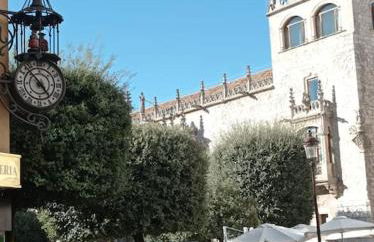 Cordón 4- 1D VUT 09-402 - Foto 1