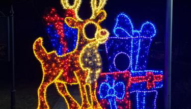 Kameralny Apartament z Balkonem - Foto 4