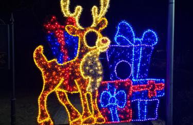 Kameralny Apartament z Balkonem - Foto 4