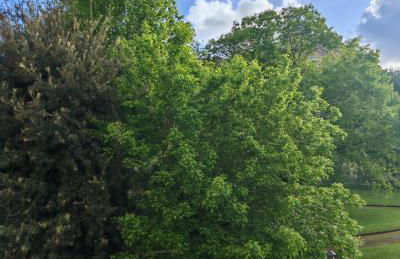 Le Giramondo Appartamento Le Cavallerizze - Photo 21