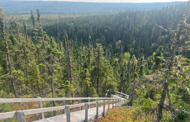 Indian Falls Chalets - Photo 54