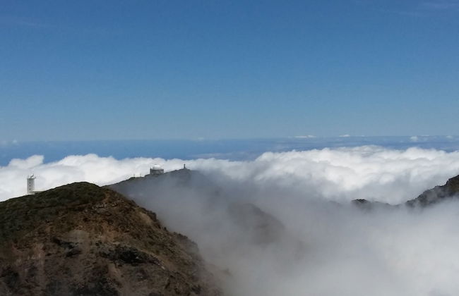Trébol "trail Mountain La Palma" Vistas Al Mar - Foto 24