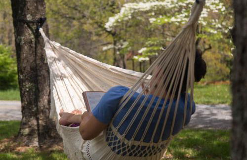 Love Ridge Mountain Lodging - Foto 42