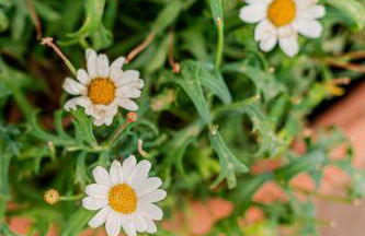 Casa Gabriella - Appartamento - Foto 45