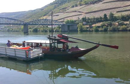 Casa Da Trigueira - Foto 53