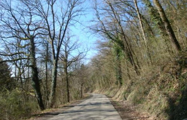 Charming Chalet in Durbuy Near Adventure Valley - Photo 26