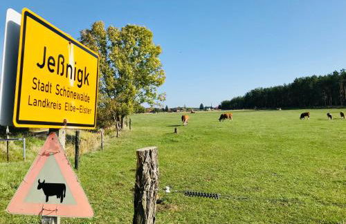 Top-moderne Ferienwohnung und Apartments auf früherem wunderschönen Bauernhof im Elbe-Elster-Kreis in Brandenburg bei Herzberg-Elster, Schönewalde, Holzdorf - Foto 21