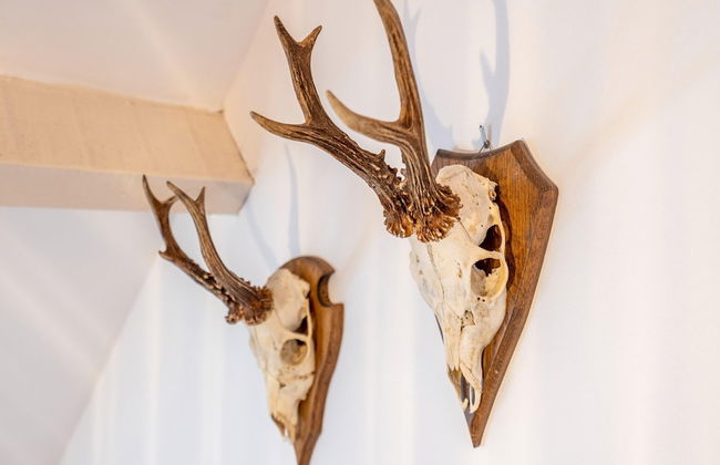 Apartment in Wortel Hoogstraten - Foto 26