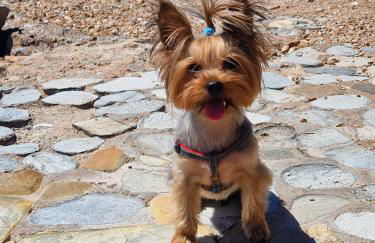 Casa Krystyna La Azohia - Foto 23