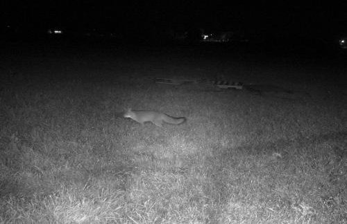 Lovely Cottage Rental with Waterfall on San Gabriel River near Austin, Texas - Foto 41