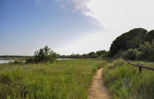 Terrace home by the pinewood - Foto 18