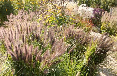 Architectural Gem On The Cornfield - Photo 9