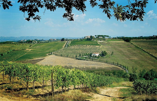 Poderi Arcangelo - Photo 45