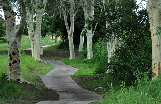 Kruger Park Lodge unit No. 608A - Foto 32