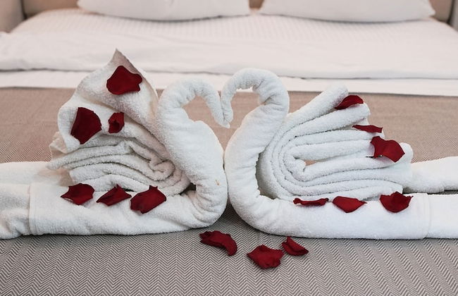 Vita Mundo - Foto 41