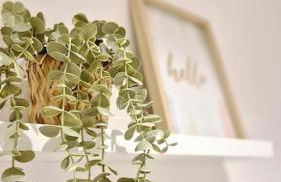 Apartment 2 nähe Rhein mit top Verkehrsanbindung - Foto 6