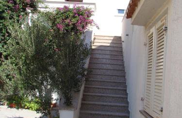 Apartment Tičić - Foto 9