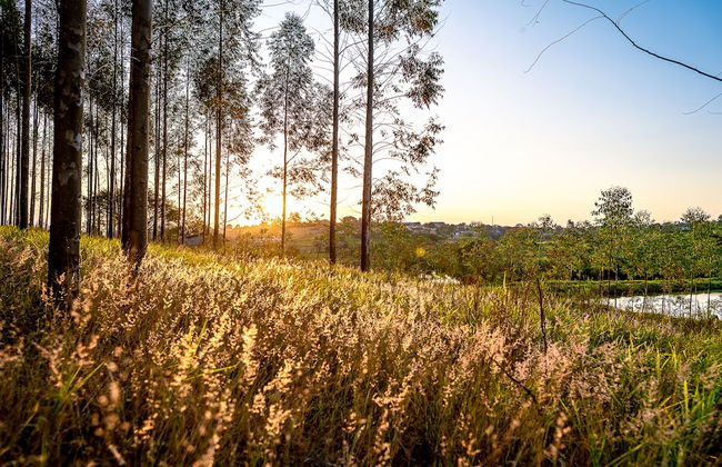 Sítio com piscina e lagoa particular - Photo 50
