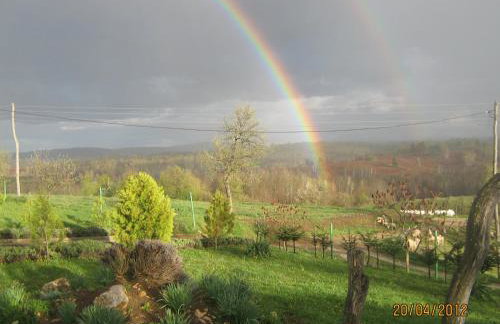 Lavanda farm apartmani - Foto 127