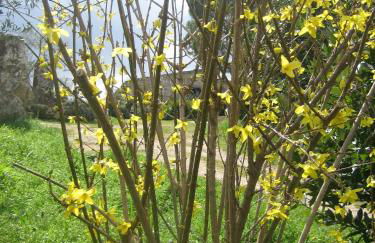 Agriturismo Casa Fibbianello - Foto 29