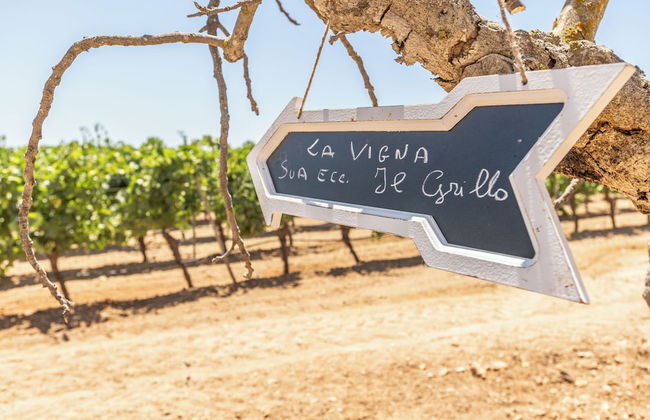 Casale Gorghi Tondi House E Vinyard - Photo 68