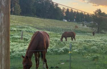 Cozy Rustic Retreat on a Horse Ranch with Stunning Pikes Peak Views and Serenity Minutes from Downtown Woodland Park - Foto 23