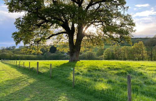 Oakies Farm Stays - Foto 14