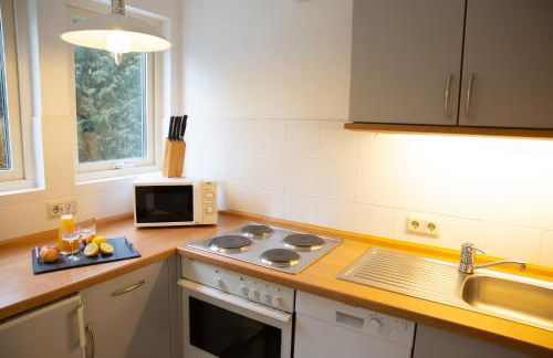 Ferienwohnungen an den Salzwiesen - Foto 50