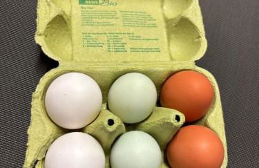 Gemütliche Ferienwohnung mit Sonnenterrasse - Foto 18