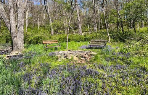 Cozy Cabin Escape Hot Tub & Lake Access - Foto 27