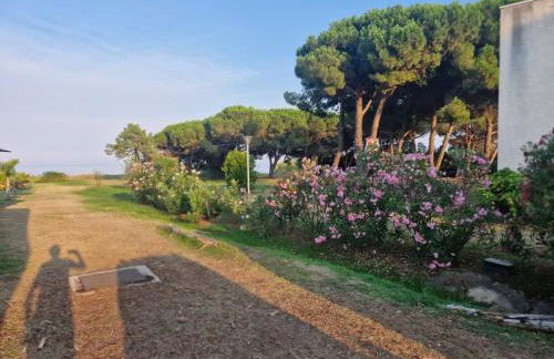 Casa Giul' Poggio Mezzana - Foto 23