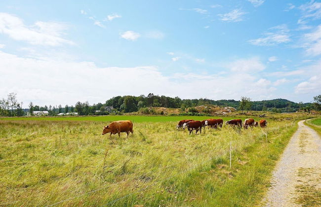 2 Person Holiday Home in Mora - Foto 10