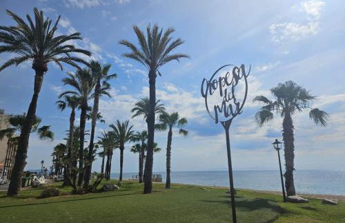 Mondrian Magic World - sea view first line of the beach - Photo 9