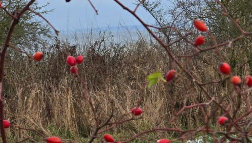 Ferienwohnung Feldblick - Foto 2