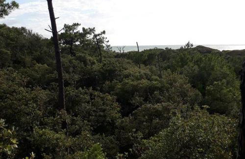 Maison typique Domino centre - Foto 21