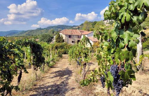 Appartamento Dolcetto in Cascina Marenco Langhe Country House - Foto 1