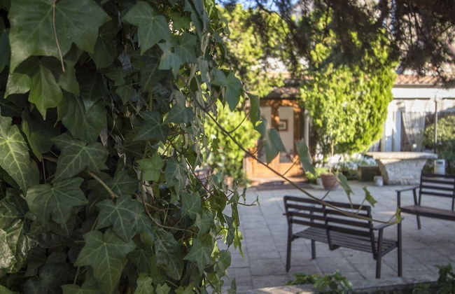 Masseria Citulo - Il Pino Grande - Foto 51