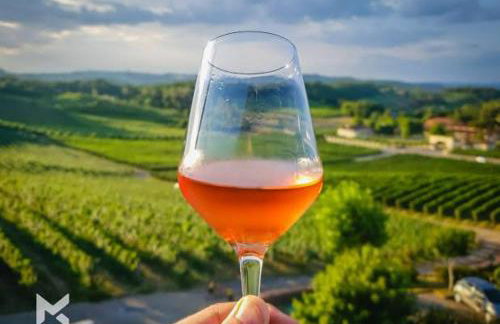 Hospedagem Don Panizzi - Foto 21