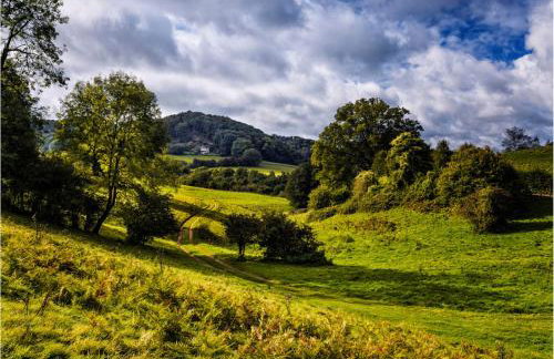 Owlpen Manor Cottages - Foto 69