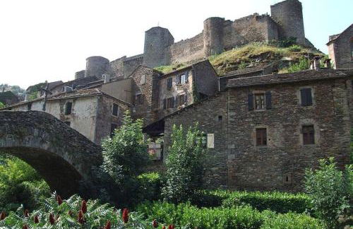 Appart T2 Village vacance 3 étoiles St Geniez d'Olt 2 piscines chauffées 75 - Photo 27