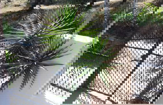 Maisonette Maria - for tranquility. Sykia Chalkidikis - Foto 41